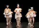 Gala de danse classique juin 2026